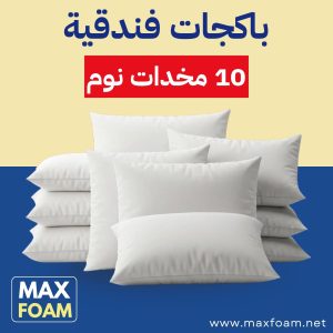 باكج 10 مخدات - 1000 جرام